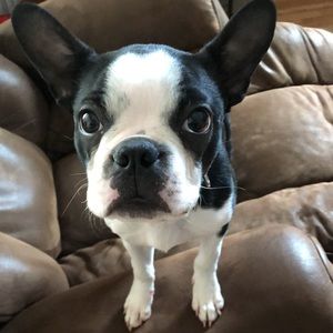 Meet your Posher, Patrick